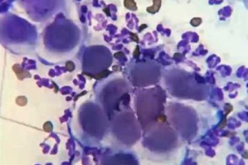 cytology-dermatology-1